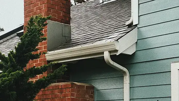 Gutter cleaning
