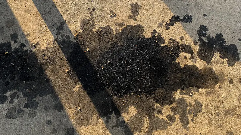 Oil stain.
