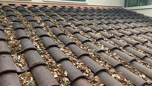 A dirty barrel tile roof.
