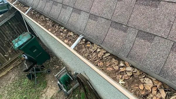 Gutters full of debris.