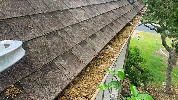 Gutters packed with leaves.