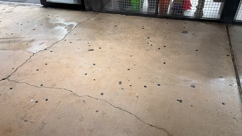 Gum stains on concrete.