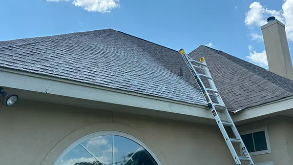 A ladder being used to clean a steep roof.