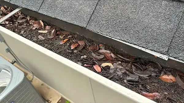 Dirty gutters debris
