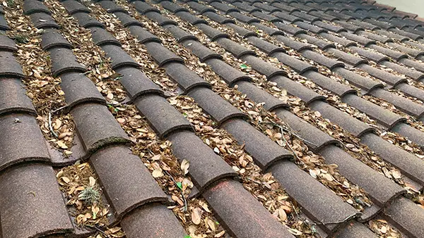 Tile roof covered in leaves and dirt