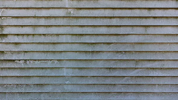 Vinyl siding covered in mold