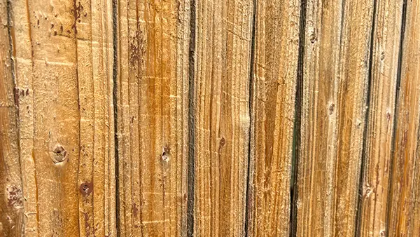 Gouged wooden fence