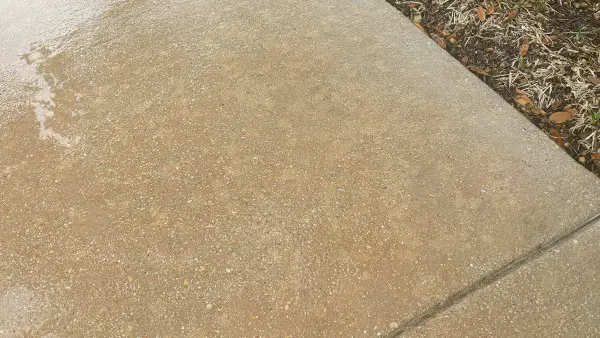 Green lichen stains that have been removed with soft washing.