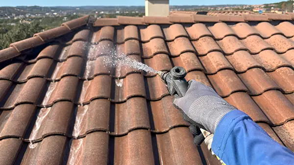 Spraying bleach on a roof