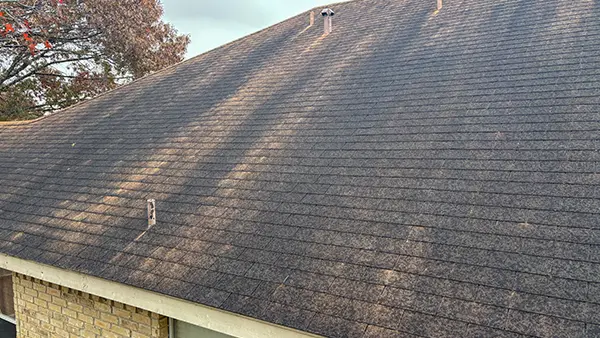 A shingle roof covered in a black bacteria called gloeocapsa magma.