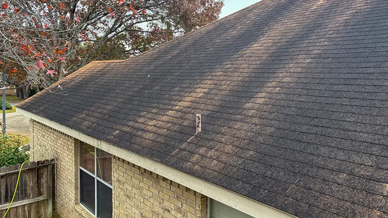 A shingle roof covered in black stuff.