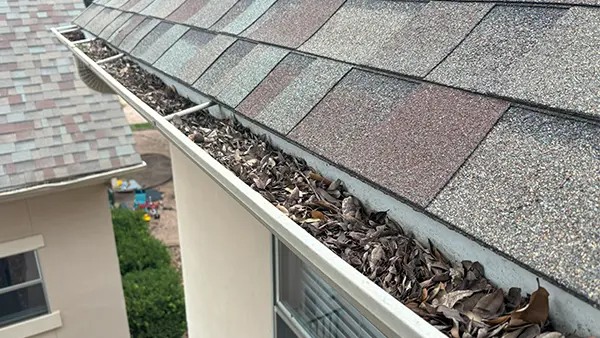 High gutters that are dirty and need gutter cleaning.
