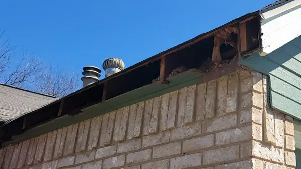 Rotted fascia board that has been removed.