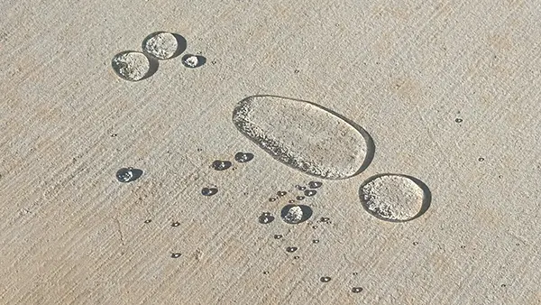 A San Antonio driveway that has been sealed to repel water and prevent stains.