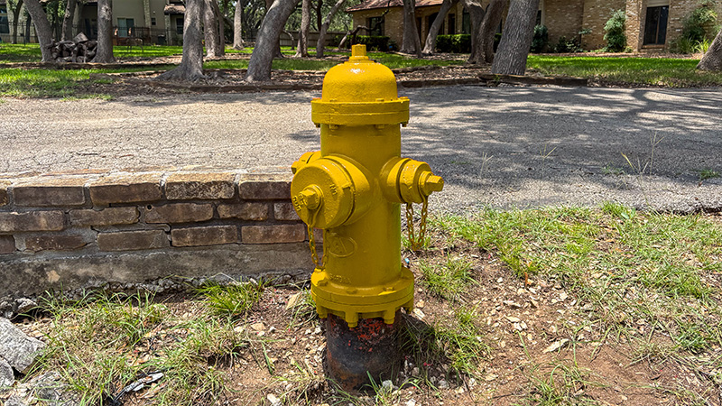A fire hydrant painted yellow.