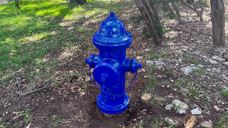 A fire hydrant painted blue.