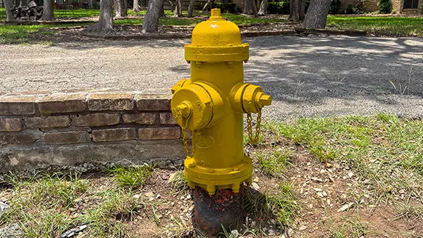 A fire hydrant painted with bright yellow paint.