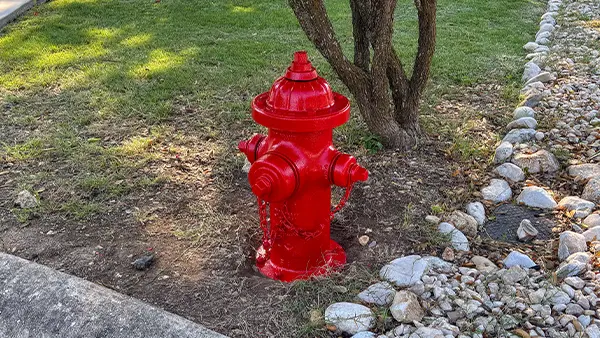 A red fire hydrant that has just been painted.