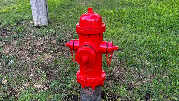 A fire hydrant that's been painted to meet local codes.